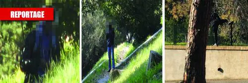 I migranti pusher al Colosseo "Qui ormai c'è droga ovunque"