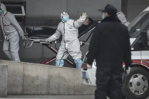 Cina, il misterioso virus può passare da uomo a uomo: "Non si esclude l'arrivo in Italia"