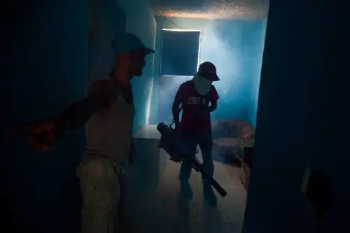 L'incubo Zika