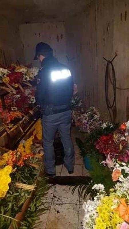 Così i pregiudicati col reddito di cittadinanza rubavano i fiori al cimitero