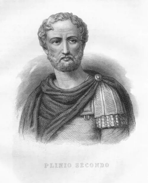 Ritrovato il presunto cranio di Plinio il Vecchio