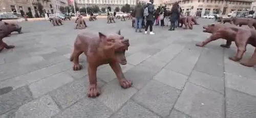 Napoli, vandalizzati i lupi dell’artista Ruowang