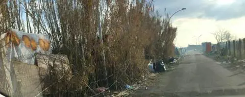 Le immagini del degrado nel campo rom di Giugliano