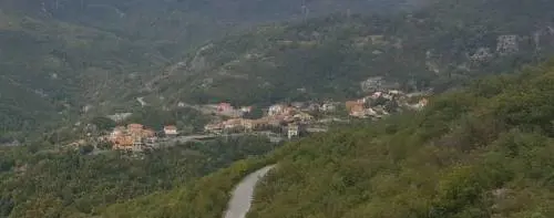 Resti umani nel bosco: sono di Luca Catania?