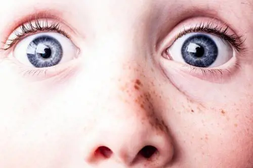 Cosa succede al nostro cervello quando guardiamo un film horror