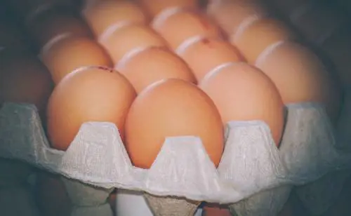 Uova bio a rischio salmonella: aumentano i lotti ritirati