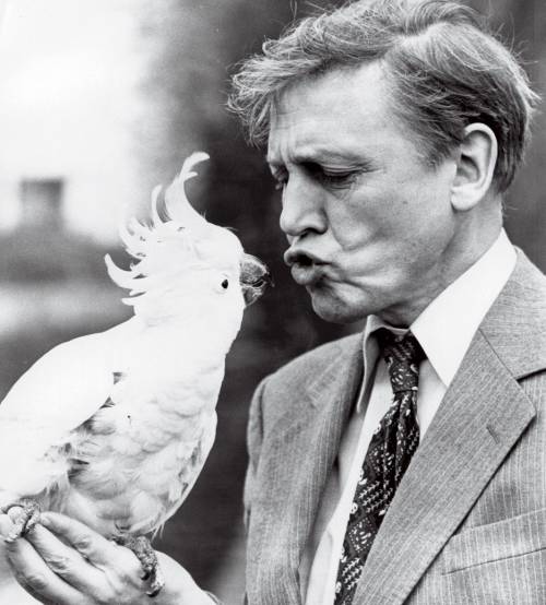 Giungle, armadilli e piroghe. E nacque il mito Attenborough