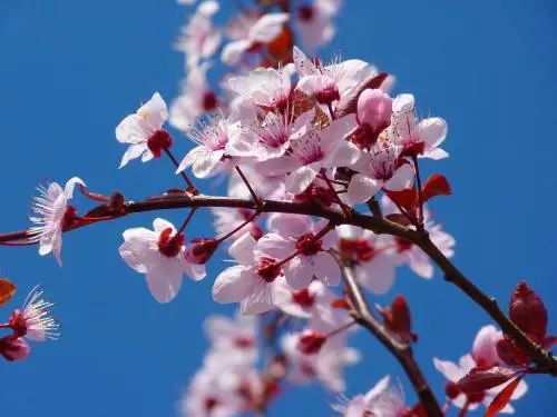 L'anticiclone è pronto: bel tempo fino a Pasqua, temperature sempre più miti