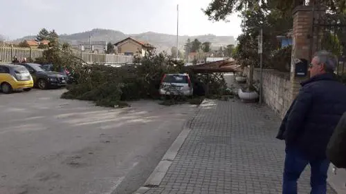 Il vento sferza l'Italia: a Pescara sfiorata la tragedia