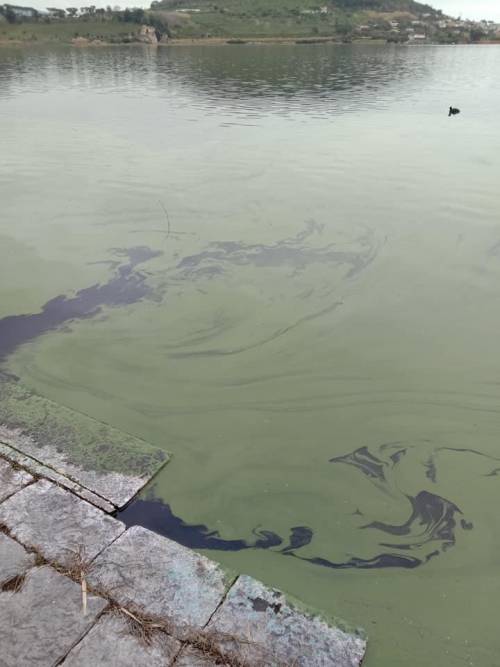 Il lago d’Averno si tinge di verde: timori per l’ecosistema