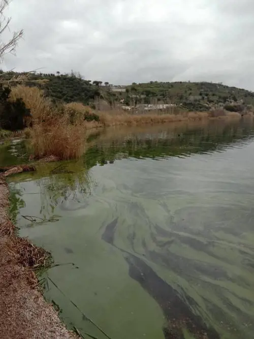 Le immagini del degrado del lago d'Averno