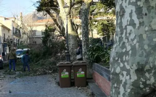 Salerno, cade un albero per il maltempo e uccide un 65enne