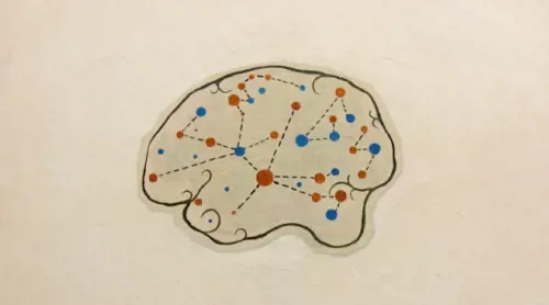Ecco cosa è il Cervello Virtuale