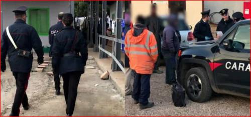 Caporalato, lavoratori sfiniti nei lager di due aziende agricole