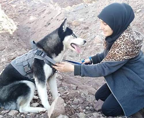 Afghanistan, uccidono il suo husky mentre lo porta a passeggio: "Una donna non può avere un cane"