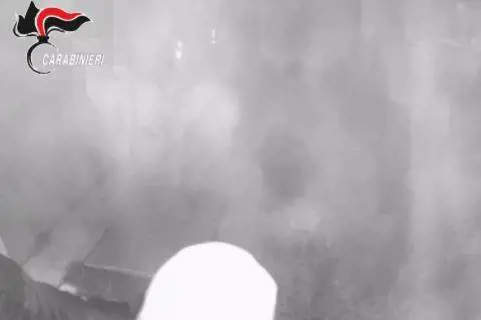 Orbassano, rubarono farmaci per un valore di 1,3 milioni di euro: due arresti