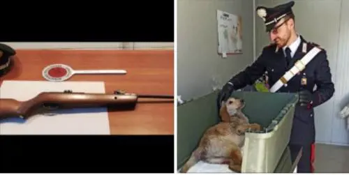 Non sopporta il cane accudito dalla vicina: prende il fucile e spara