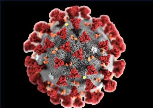  Coronavirus: il marchio adesso è registrato
