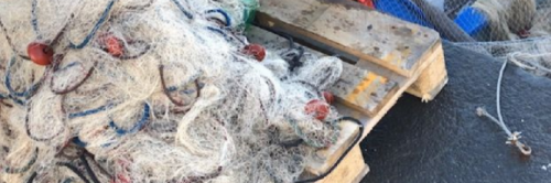 I nostri mari sempre più a rischio: ecco i danni della pesca illegale