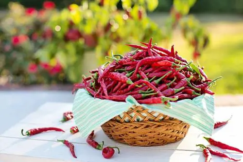 Consumare regolarmente peperoncino fa bene al cuore