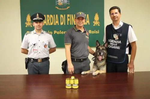 Squadra speciale cinofila: quando il fiuto scova gli spacciatori 