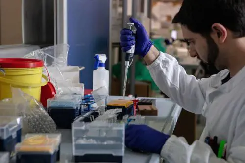 La ricerca torna in soffitta