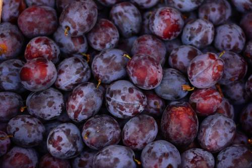 Viva le brutte è la ricetta anti-spreco