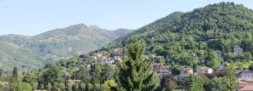 "Quando la crisi finirà, nella Bergamasca fonderò il mio museo"