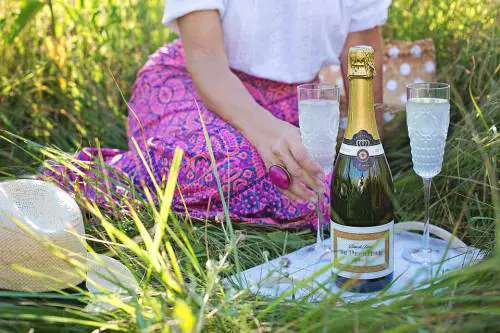 Denunciate 12 persone: avevano organizzato un pic-nic eludendo le disposizioni del Governo