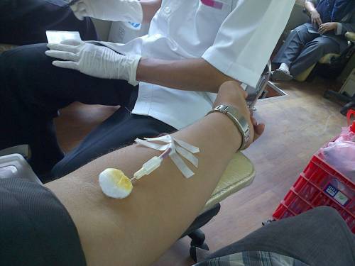Coronavirus, ecco come donare il sangue (e perché è importante farlo)