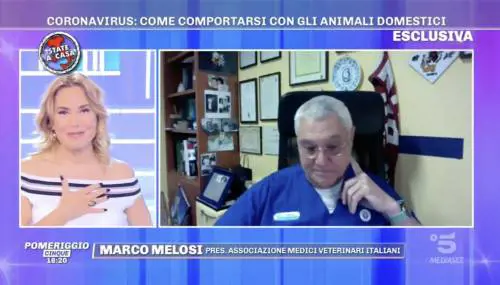 Pomeriggio5, il veterinario chiarisce l'uso della candeggina: "Ok due cucchiaini in un litro di acqua"