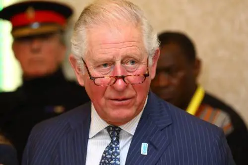 Principe George, i sudditi in visibilio per le foto esposte da Carlo