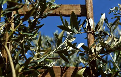 Se l'unica visione del Pd è la poltrona