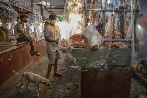 L'Onu chiede la chiusura dei wet market. Gli animalisti: "Epicentro delle epidemie"
