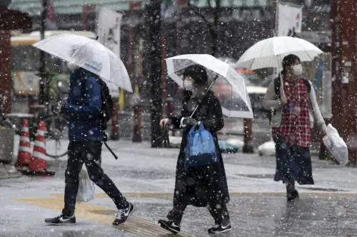Ecco perché i giapponesi sembrano immuni al Covid-19
