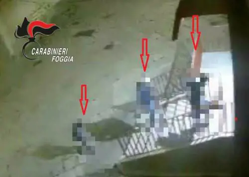 Foggia, violano le norme anticontagio per commettere un furto: arrestati