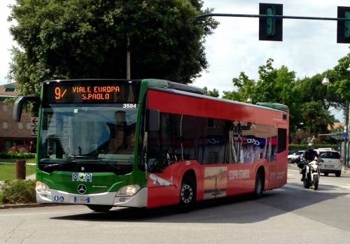 Treviso, anziana cade ma passanti non la soccorrono: autista bus unico ad aiutarla 