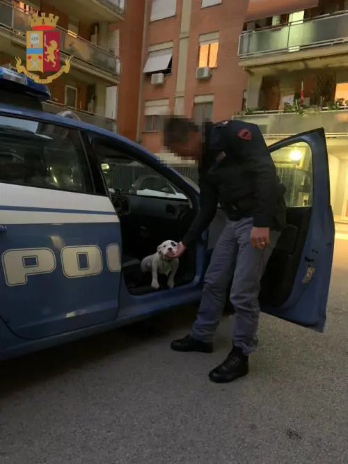 Cerveteri, le muore il cane: la sorpresa del nipote alla nonna