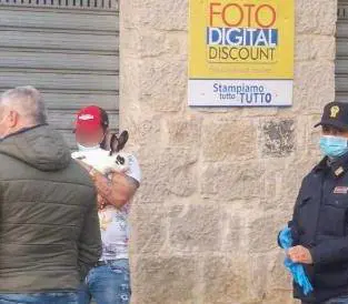 Fondi, sorpreso a spasso con un coniglio in piena "zona rossa"