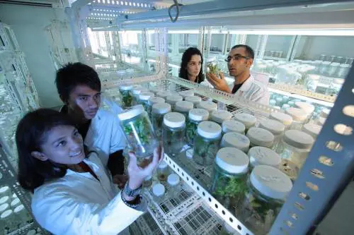 Le professioni in ascesa ai tempi del Coronavirus