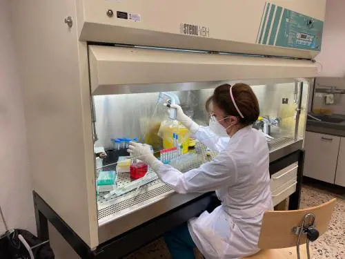 Palermo, il laboratorio di riferimento regionale del Policlinico