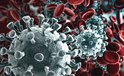L'immunologo: "Questo virus si spegnerà da solo, ha una morte programmata"