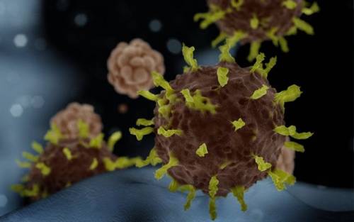 Coronavirus Exposes US Vulnerability to Bioterrorism