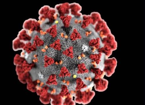 Ecco la molecola della speranza che riduce la proteina che favorisce il virus