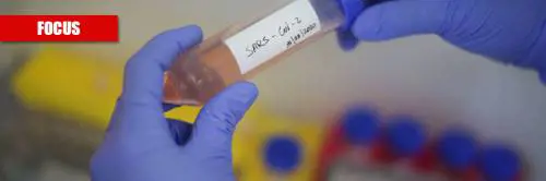 L'origine, le mutazioni e la fine: tutti i misteri sul coronavirus