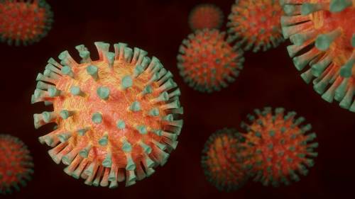 Ecco dove sopravvive a lungo il Coronavirus nel corpo