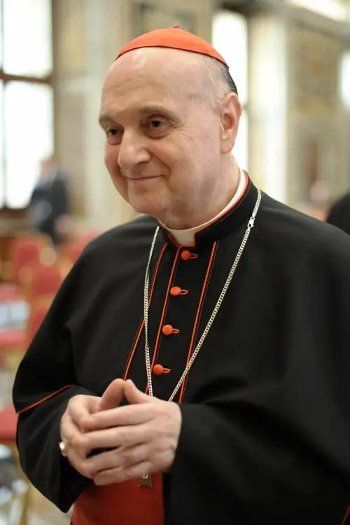 Comastri: "La bandiera dell'Europa? È ispirata alla Madonna"