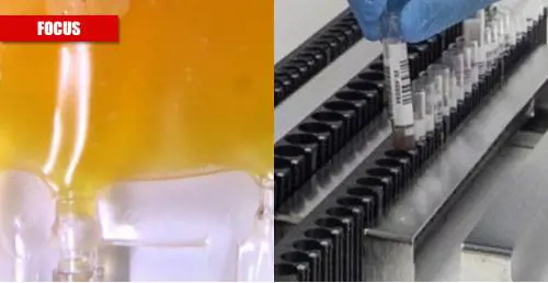 Plasma o vaccino, cosa conviene? Ecco il confronto tra punti di forza e limiti