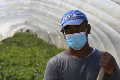 Anche gli scienziati contro la sanatoria dei migranti, ma Conte li snobba