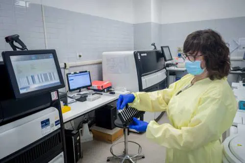 Quella faida tra scienziati sul virus: è indebolito ma è vietato dirlo